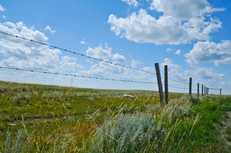 Barbed Wire Fence Installation